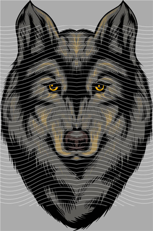 Street design-JT 3832